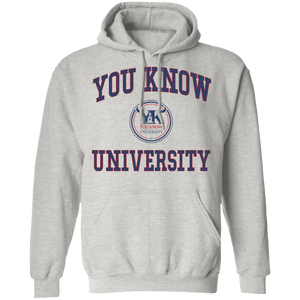 You Know University 3 Pullover Hoodie