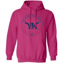 You Know University 1 Pullover Hoodie