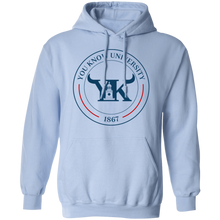 You Know University 1 Pullover Hoodie