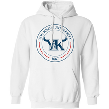 You Know University 1 Pullover Hoodie