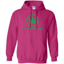 NEW YORK PARK JAMS Pullover Hoodie 8 oz.